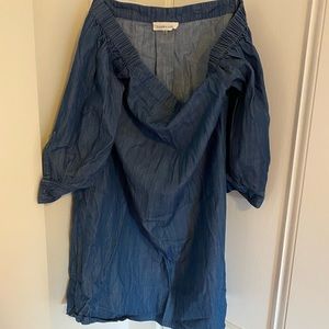 Tuckernuck denim dress